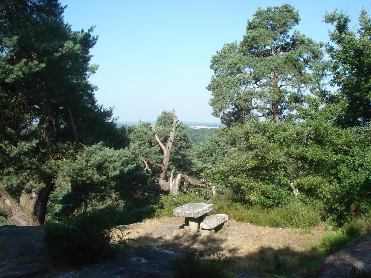 Chailly-en-Biere Les Premices De La Foret מראה חיצוני תמונה